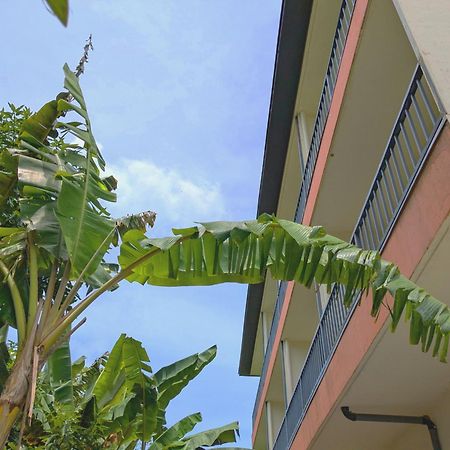 Garden Palace Downtown Koror Exteriér fotografie